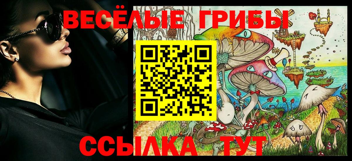 Курск  Псилоцибиновые грибы Psilocybe  Вход с VPN 
