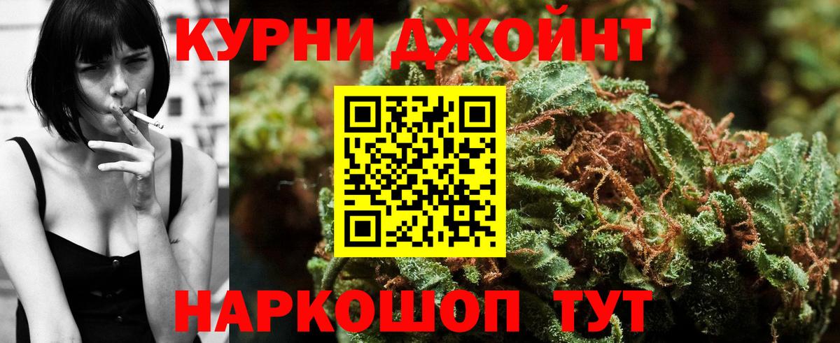 Каннабис сатива Курск